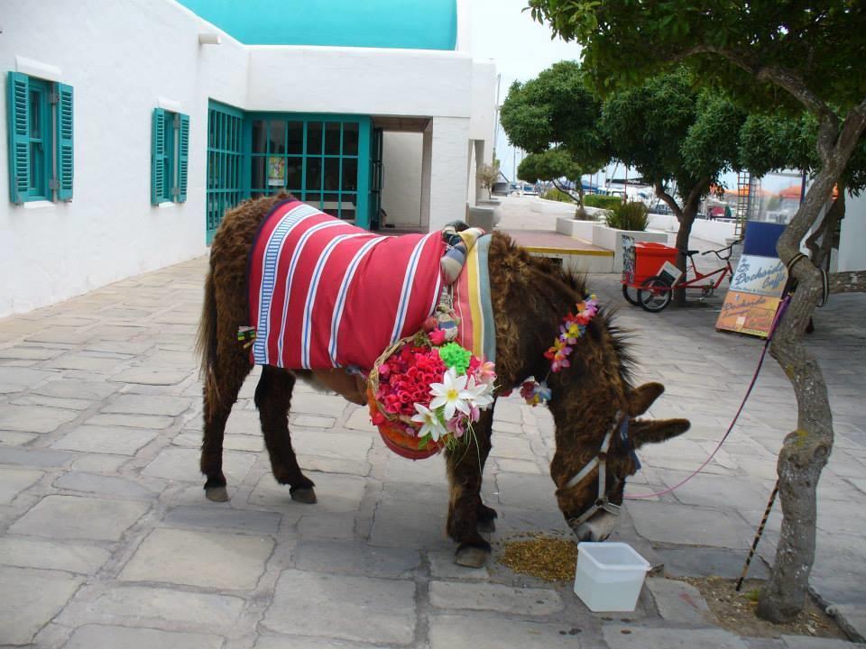 Mykonos Holidays @ Club Mykonos 兰格班 外观 照片